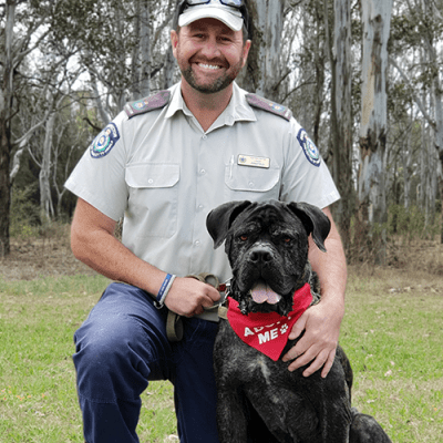 Animal welfare officers job description