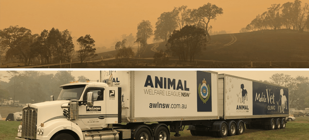 Animal Welfare League Truck with Branding