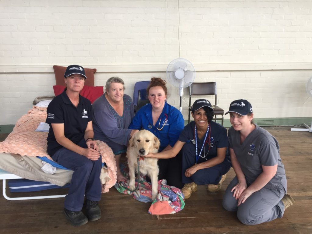 five women and a dog