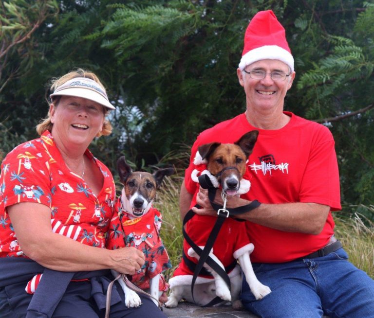 elderly couple in christmas clothes with jack russell dogs