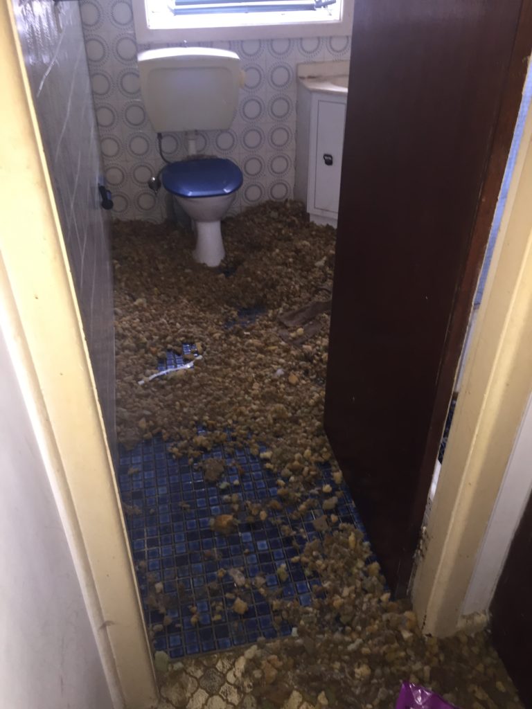 floor covered in poop animal abuse