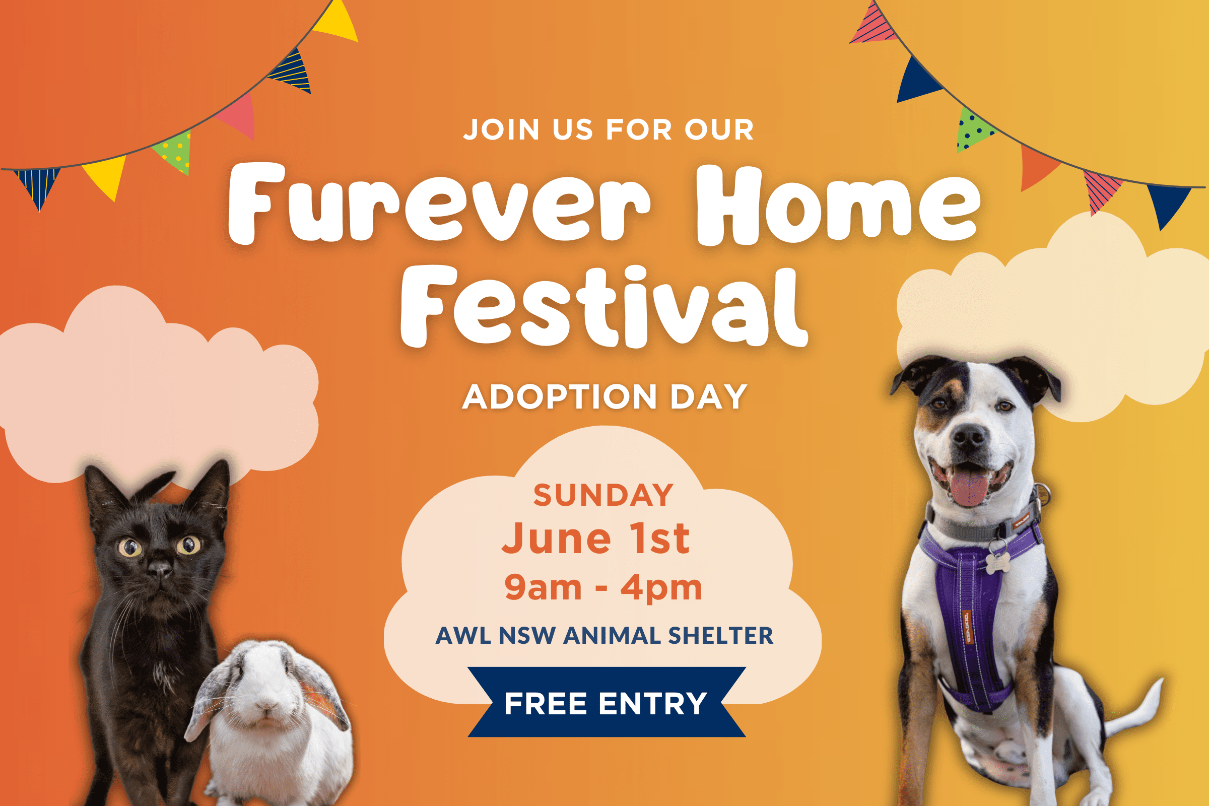 Join us for our Furever Home Festival!