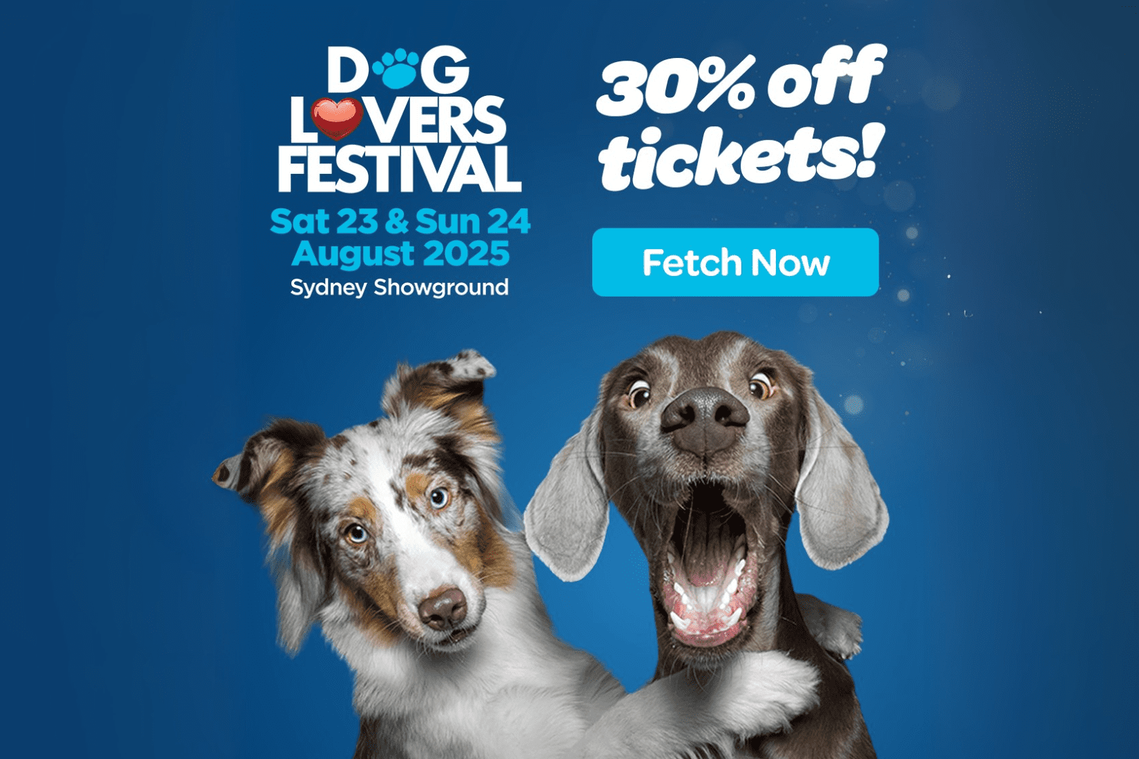 Catch us at the Sydney Dog Lovers Festival!