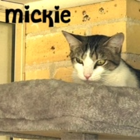 Mickie