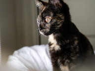 Candy Photo