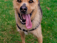 Hazel Photo
