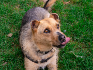 Hazel Photo