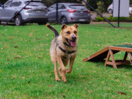 Hazel Photo