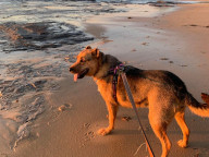 Hazel Photo