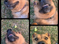 Hazel Photo