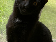 Moe Photo