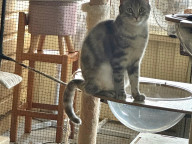 Smudge Photo