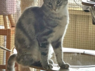 Smudge Photo