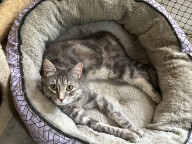 Smudge Photo
