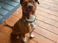 Max Photo