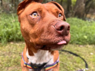 Max Photo