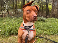 Max Photo