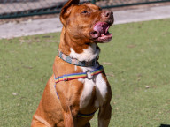Max Photo