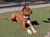 Max Photo