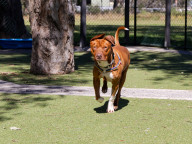 Max Photo