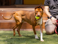Max Photo