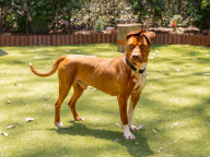 Max Photo