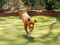Max Photo