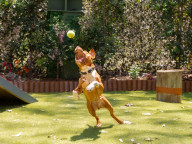 Max Photo