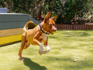 Max Photo
