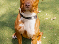 Max Photo