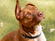 Max Photo