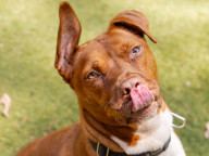 Max Photo