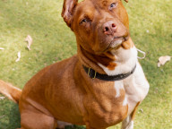 Max Photo