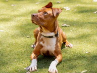 Max Photo