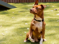 Max Photo