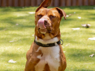 Max Photo
