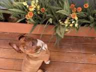 Max Photo