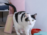 Willow Photo
