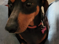 Cookie Photo