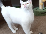 Casper Photo