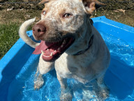 Charlie Photo