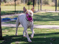 Charlie Photo