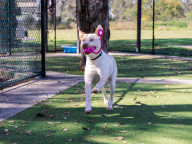 Charlie Photo