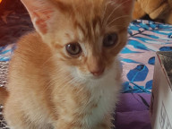 Asher Photo