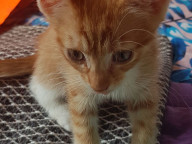 Asher Photo