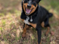 Buddy Photo