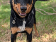 Buddy Photo