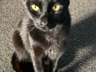 Mya Photo