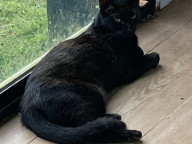 Mya Photo