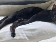 Tuna Photo